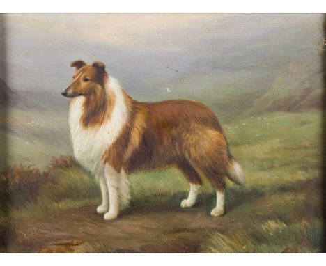 HENRY CROWTHER (fl.1905 - 1939) Framed, signed, dated 1916, oil on canvas, portrait of a Rough Collie dog, in extensive lands