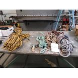 (Lot) (5) Safety Tie Downs