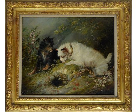 George Armfield (British, 1808-1893), Two Terriers Hunting, oil on canvas, signed, gilded framed. 28cm x 34cm.
