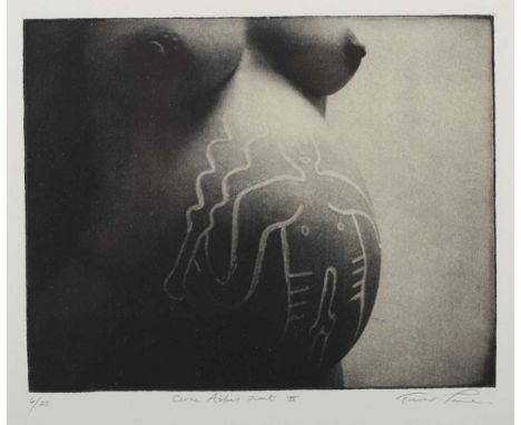 Trevor Price – ‘Cerne Abbas Giant II’, 21st century photographic etching, signed, titled and editioned 6/75 in pencil, 19.5cm