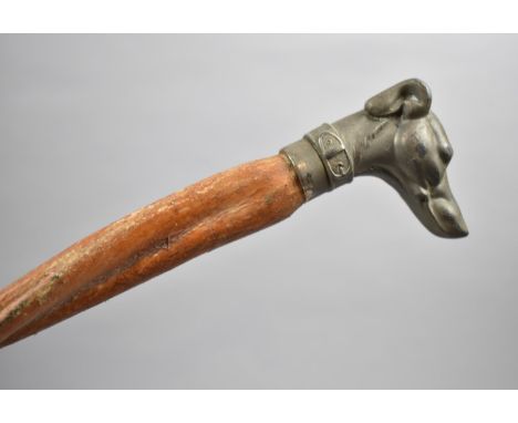 A Novelty Bull Penis Walking Stick with Metal Greyhound Head Handle, 86cm long 