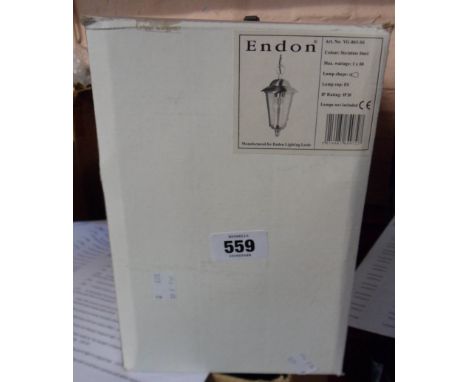 A modern stainless steel hanging porch light in original box