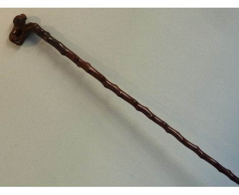 A fine and unusual 19th Century Walking Stick of fine colour and patination, the handle unusually carved as a male lion with 