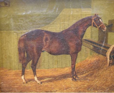 19th Century English School - Oil on canvas - Portrait of a racehorse in stable, unsigned, 24cm x 29cm, in a gilt frame  