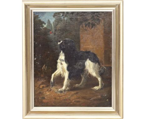 Unbekannter Maler in der Art von Edwin Henry Landseer (19. Jh.) King Charles Spaniel vor einem Schmetterling. Öl/Lwd. (rest.)