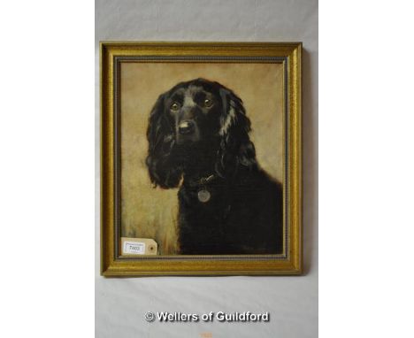 Alix Jennings, mixed media, "Sammy", portrait of a working cocker spaniel, oil on canvas, signed lower right, inscribed verso