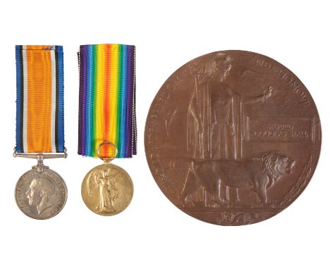 A PAIR AND PLAQUE TO PTE HALL ROYAL MARINE LIGHT INFANTRY Pair correctly impressed PLY1987 - S- Pte A D Hall RMLIPlaque Alfre