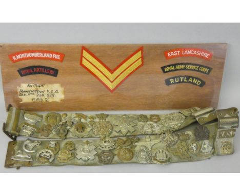 A wide webbing belt, fitted with a large assortment of mainly British Army cap badges together with a display of British shou