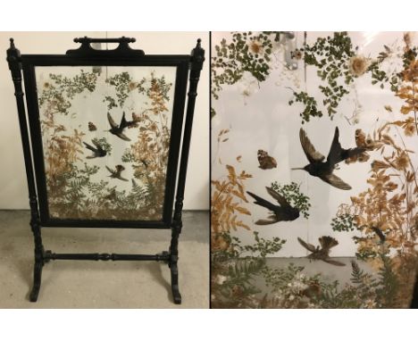 A Victorian ebonised framed glass panel fire screen with taxidermy birds, butterflies and fauna.  66cm wide x 102cm tall.