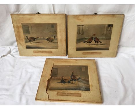  Sale Item:    3 COCK FIGHTING PICTURES (AF)   Vat Status:   No Vat   Buyers Premium:  This lot is subject to a Buyers Premiu