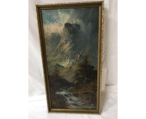  Sale Item:    OIL PAINTING MOUNTAIN SCENE BY JOEL OWEN  Vat Status:   No Vat   Buyers Premium:  This lot is subject to a Buy