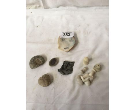  Sale Item:    CHINESE M O P SHELL DISH &amp; 2 BAG FOSSILS  Vat Status:   No Vat   Buyers Premium:  This lot is subject to a