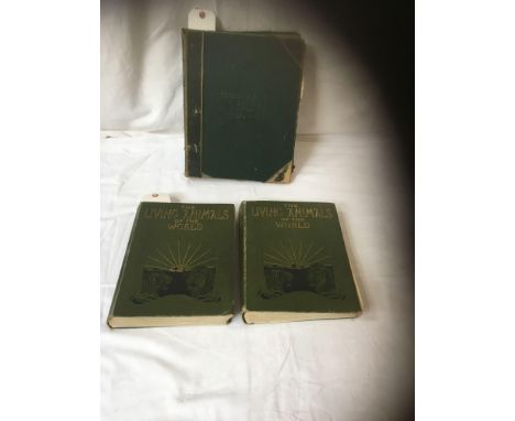  Sale Item:    3 BOOKS-PENCILLING FROM PUNCH &amp; 2 LIVING ANIMALS OF WORLD (AF)  Vat Status:   No Vat   Buyers Premium:  Th