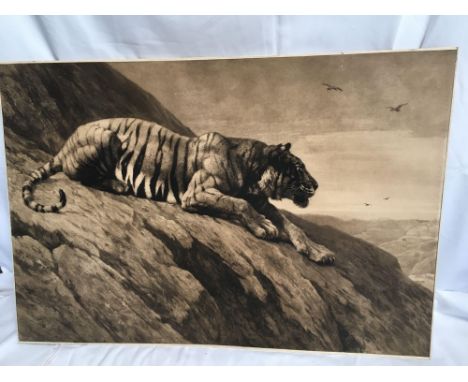  Sale Item:    FOLDER ART WORK SKETCHES PHOTOS ETC (AF)  Vat Status:   No Vat   Buyers Premium:  This lot is subject to a Buy
