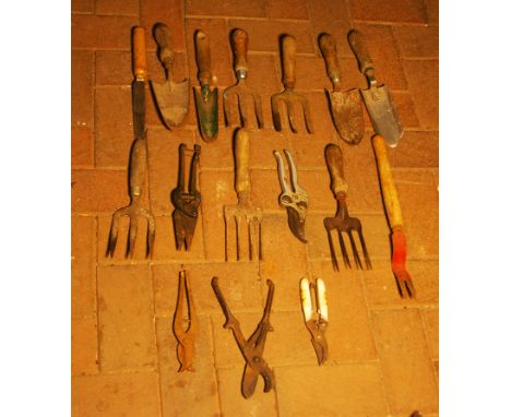 Collection of small garden tools..
