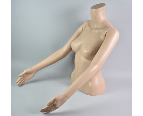 The Top Section of a Female Mannequin, 60cms High