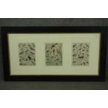 A framed and glazed triptych of 19th century hand coloured engravings of various species of tropical