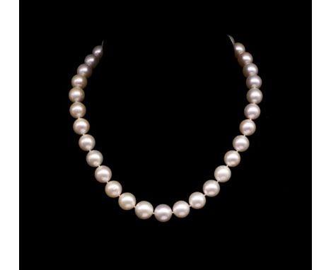 South sea white pearl necklace with marked 375 white gold ball clasp. With a high polish finish. Approx 35x cultured pearls 1