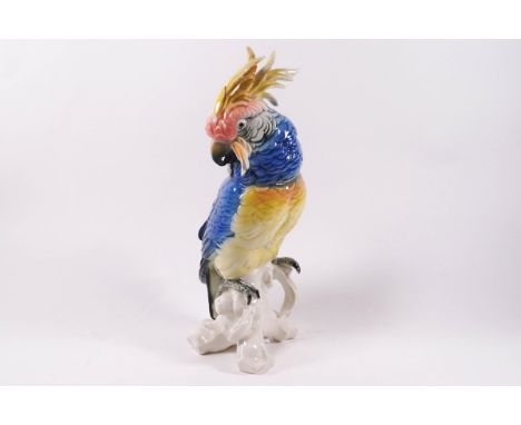 A Karl Ens porcelain model of a cockatoo, impressed mark 7141, 28m high