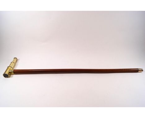 A malacca walking stick with brass telescopic handle