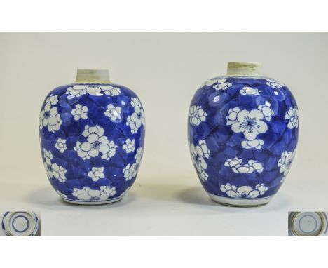 Chinese 18th / 19th Century Kangxi Period - Blue and White Porcelain Jars, Each Decorated with Images of Prunus Flowers to Bo