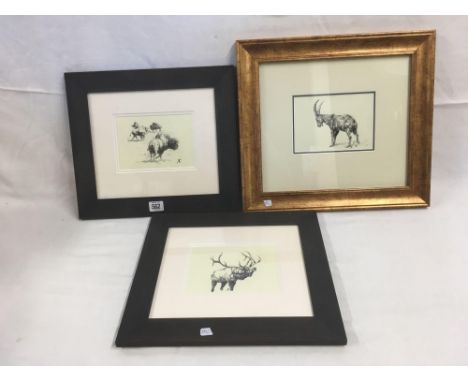 2 PEN &amp; INK DRAWINGS OF A GOAT AND AN ELK. ALSO AN ETCHING OF A BISON HERD BY THE SAME ARTIST. ALL SIGNED WITH INITIALS W