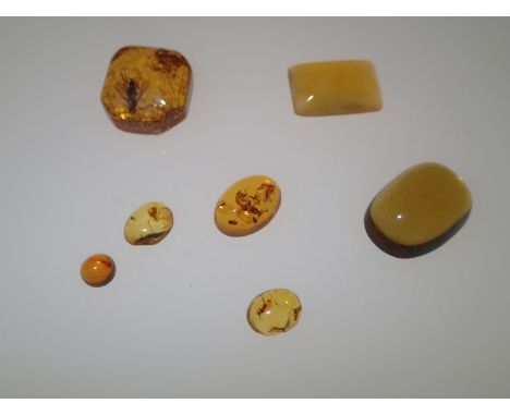 Mixed butterscotch and Baltic amber piecesP&P group 1 (£16 for the first item and £1.50 for subsequent items) 