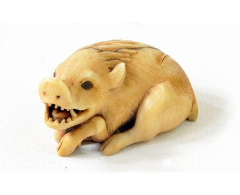 Japanese carved netsuke carved in the form of a waterhog (possibly ivory) 