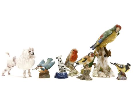 A collection of ceramic animal figures, to include a Royal Doulton French poodle, a Rosenthal terrier, a continental parrot, 