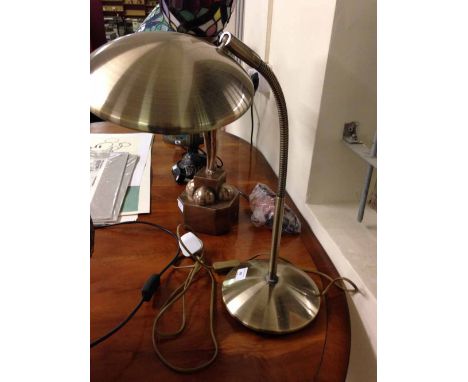 A flexible head desk lamp.