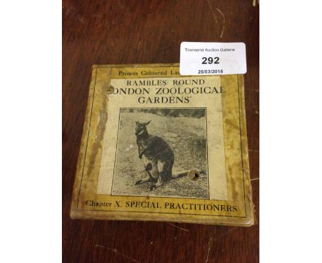 A boxed set of 9 London Zoo Primus coloured lantern slides.