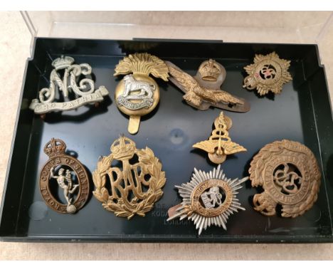 9 military cap badges : Royal Corps of Signals, Munster, Worcestershire Regiment FIRM, Engineers, Army Service Corps, South A
