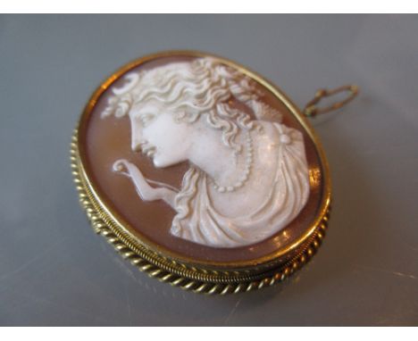 19th Century oval carved shell cameo portrait brooch in a 15ct gold mount
