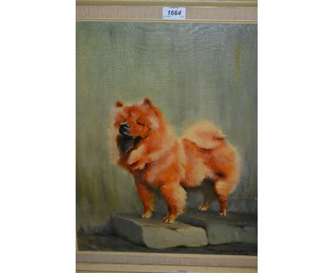 Claude Rampling, signed oil on board, portrait of a dog, (Chow Chow), 19.5ins x 15.5ins