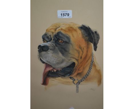 20th Century watercolour, portrait of a dog, signed Minot, dated 1974, 16ins x 13ins