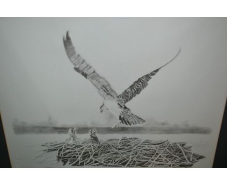 Graeme Sims for the R.S.P.B., a Limited Edition black and white print of an osprey and young together with a Ken Wood signed 