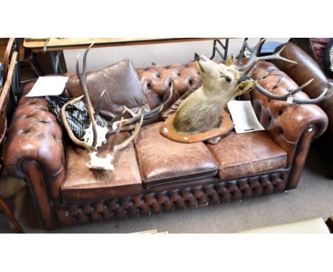 A contemporary brown leather Chesterfield three seater sofa (af).