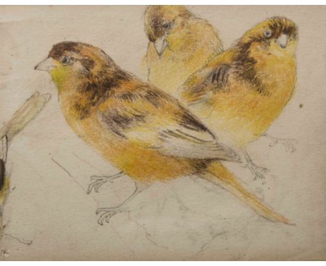 CHARLES HENRY CLIFFORD BALDWYN (1843-1913), SPARROWS IN FLIGHT, gouache, framed, 20cm by 28cm; together with THREE WATERCOLOU
