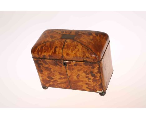 A REGENCY BLONDE TORTOISESHELL TEA CADDY, rectangular with cushion moulded top, twin compartments, raised on brass ball feet,