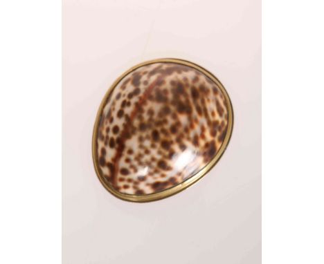 A BRASS MOUNTED COWRIE SHELL SNUFF BOX, engraved Mrs Hill 1847. 6cm