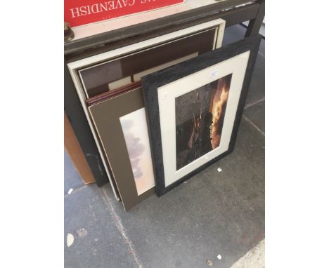 VARIOUS PRINTS    T2