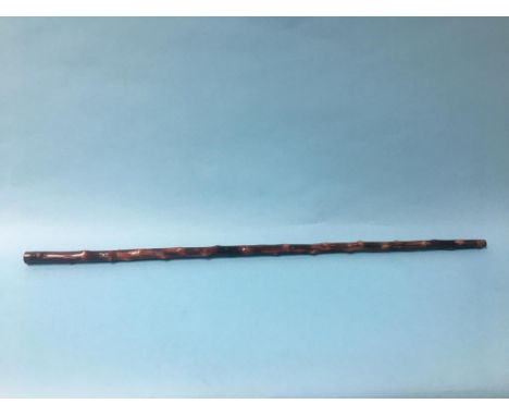 A sword stick