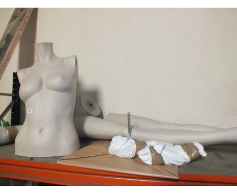 A SHOP DISPLAY MANNEQUIN