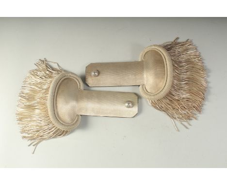 A PAIR OF SILVER EPAULETTES, boxed, by J. RUETTARD FILS, LYON.