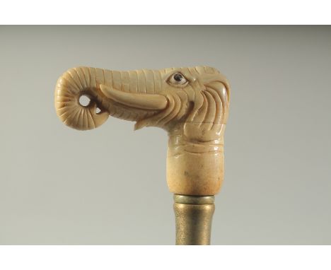 A WALKING STICK WITH CARVED BONE HANDLE "ELEPHANT".