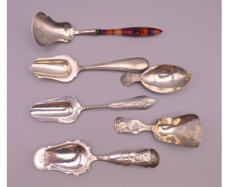A collection of silver caddy spoons.  Largest 13 cm long. 