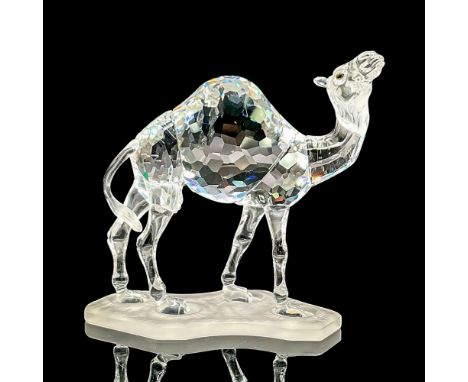 Clear crystal figure of a standing camel on a satin base looking upwards. Model number 247683. Swarovski etched mark. Certifi