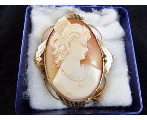 Large well defined shell cameo set in 9 ct gold brooch mount with pendant loop, together with fine 9 ct gold suspension chain