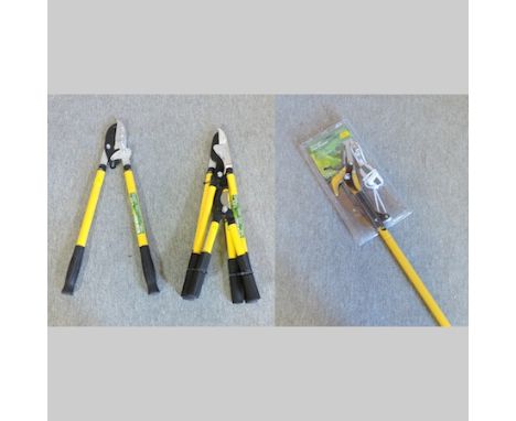 A telescopic pruner, together with a pair of telescopic ratchet loppers, and a power lopper and shears set