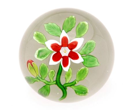A 19th Century French paperweight by Baccarat decorated with double clematis having a central ring of red petals and an outer